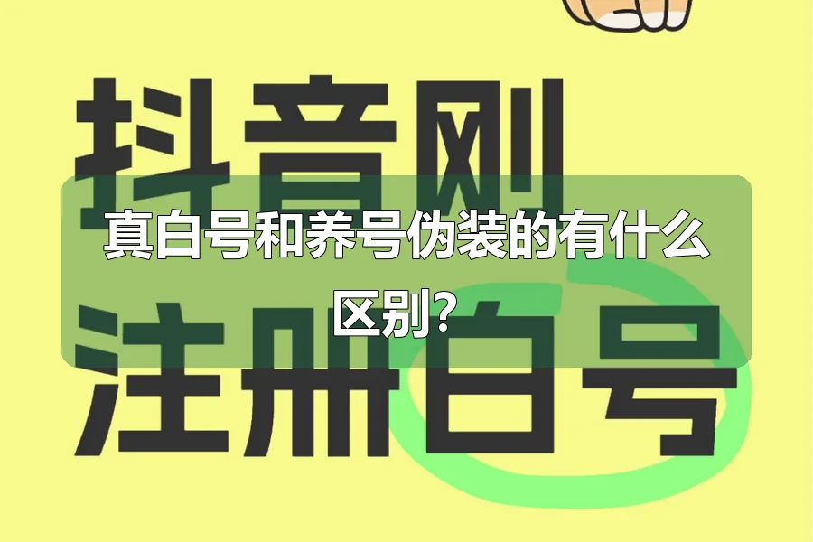真白号和养号伪装的有什么区别？